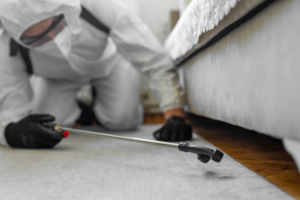Professional Rodent Control technician working in Mapleton, MN