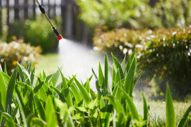 24/7 Emergency Rodent Control experts in Mapleton, MN